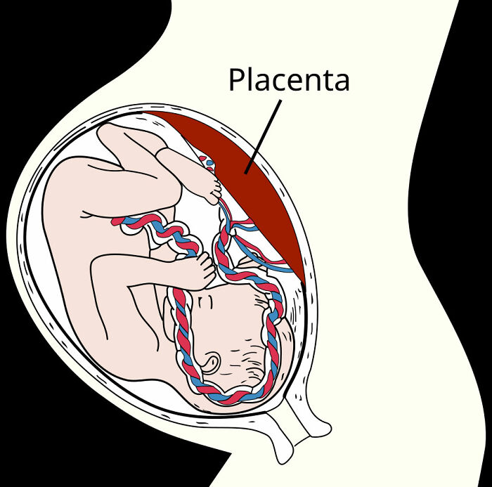 Wait, They Actually Ranked These Crazy Medical Mind-Blowers?!