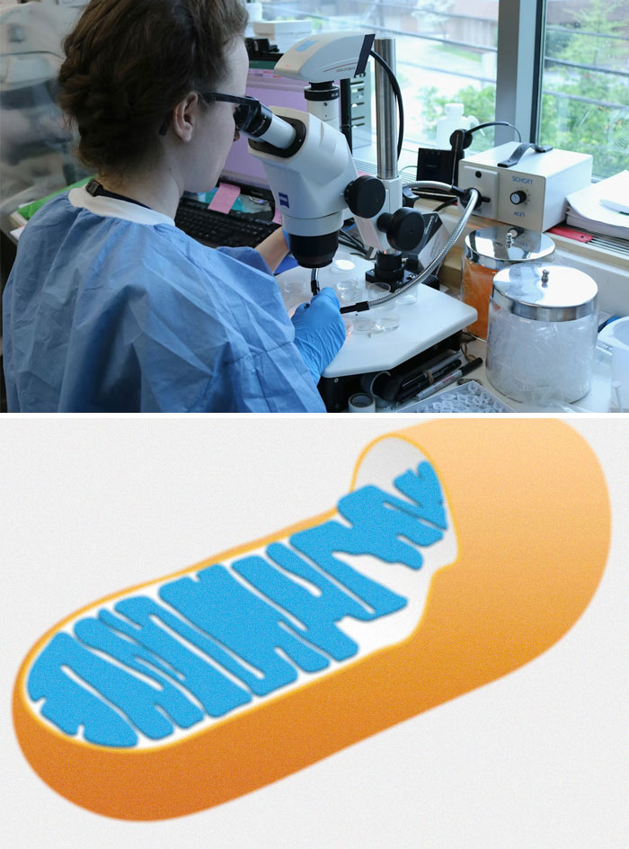 Wait, They Actually Ranked These Crazy Medical Mind-Blowers?!