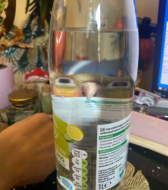 My Drink Is Watching Me—Creepy or What?