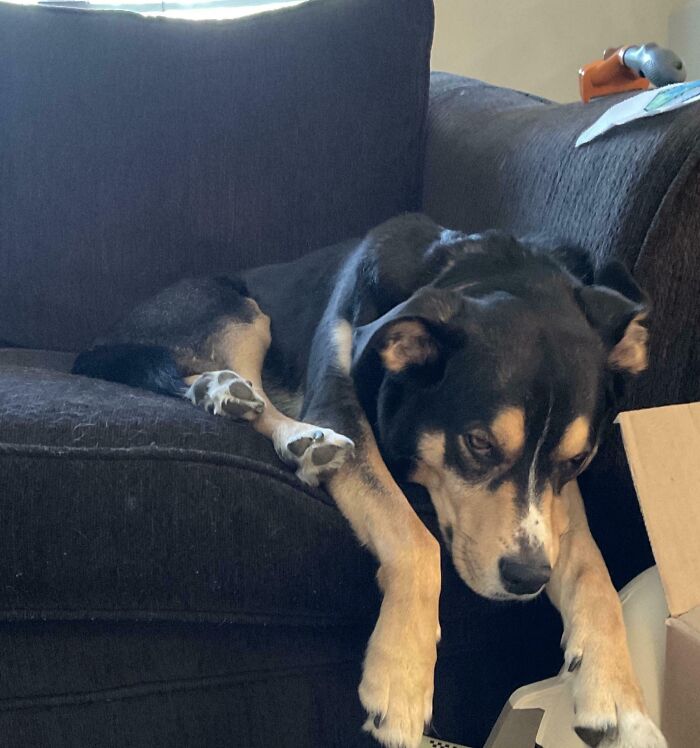 Wait Till You See These Animals Making the Goofiest Faces Ever