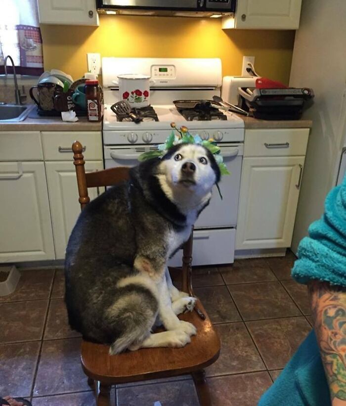 Wait Till You See These Animals Making the Goofiest Faces Ever