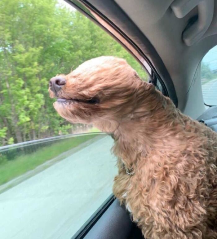 Wait Till You See These Animals Making the Goofiest Faces Ever