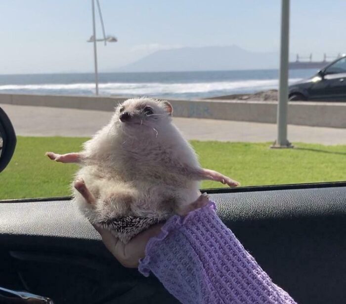 Wait Till You See These Animals Making the Goofiest Faces Ever