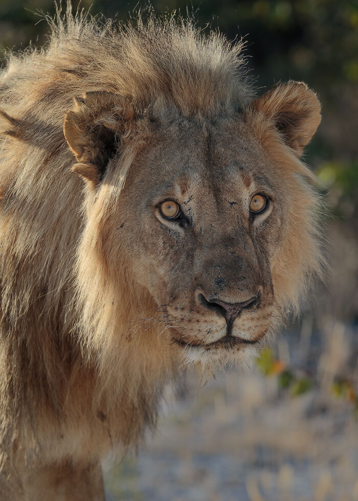 The Morning After: Not Exactly Glamorous