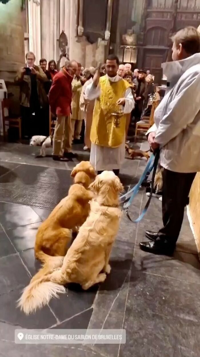 25 Weirdest Street Scenes in Brussels That Will Make You Say 'Wait, What?!'