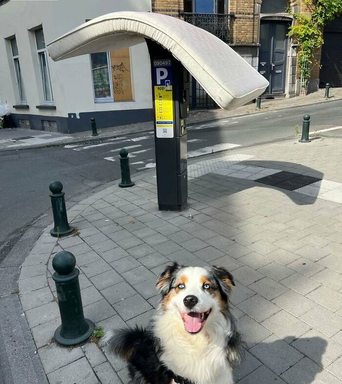 25 Weirdest Street Scenes in Brussels That Will Make You Say 'Wait, What?!'