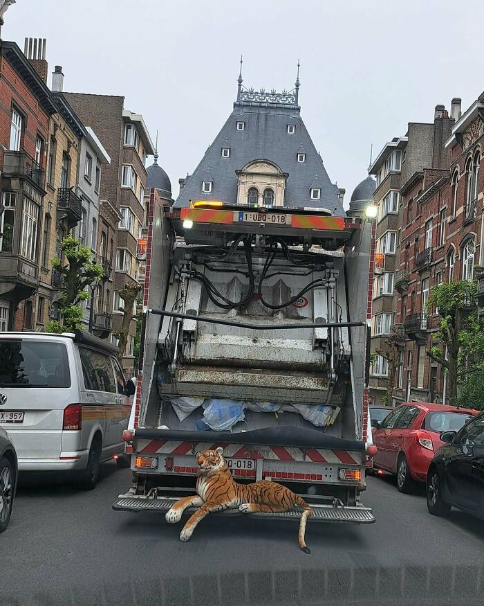 25 Weirdest Street Scenes in Brussels That Will Make You Say 'Wait, What?!'