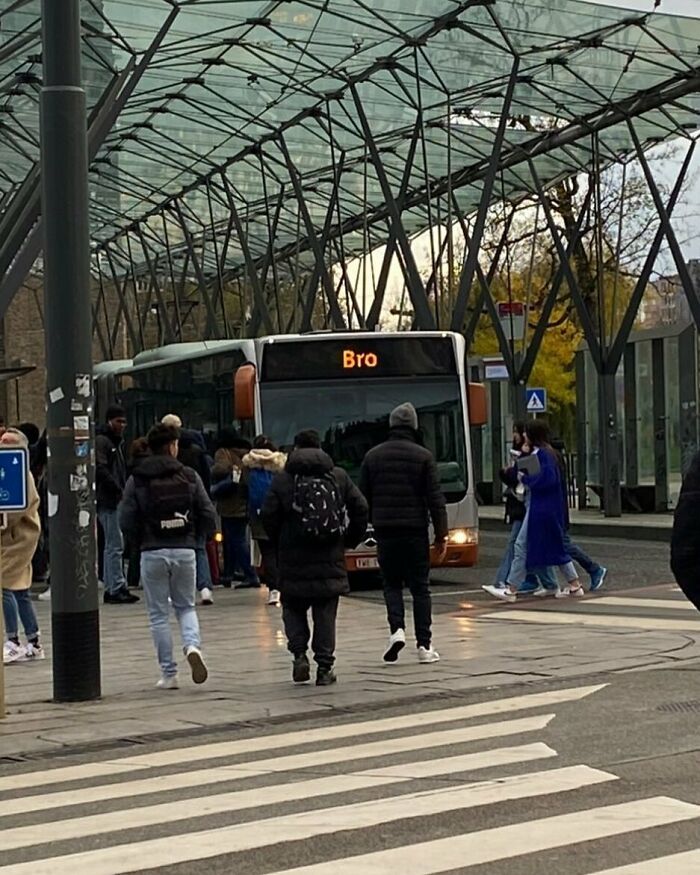 25 Weirdest Street Scenes in Brussels That Will Make You Say 'Wait, What?!'