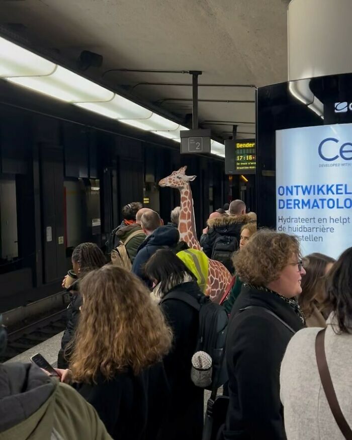 25 Weirdest Street Scenes in Brussels That Will Make You Say 'Wait, What?!'