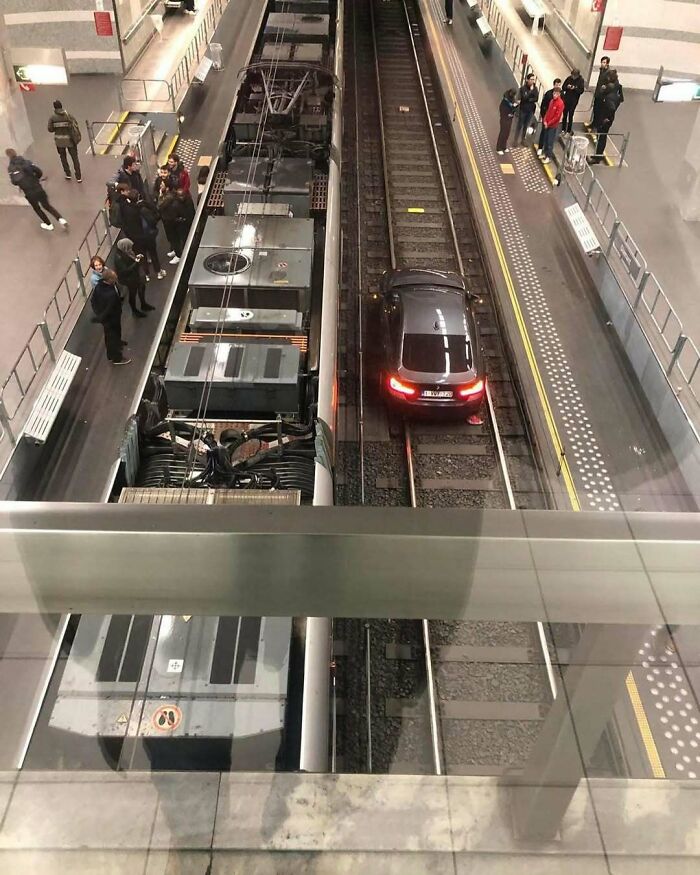 25 Weirdest Street Scenes in Brussels That Will Make You Say 'Wait, What?!'