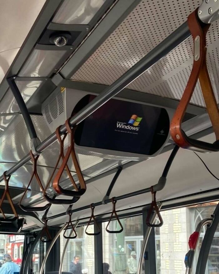 25 Weirdest Street Scenes in Brussels That Will Make You Say 'Wait, What?!'