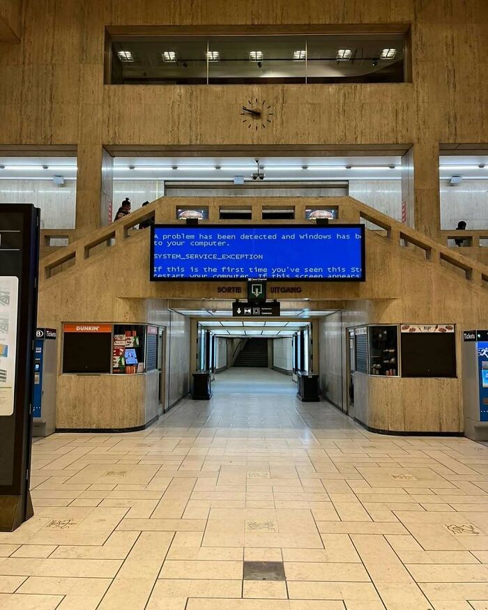 25 Weirdest Street Scenes in Brussels That Will Make You Say 'Wait, What?!'