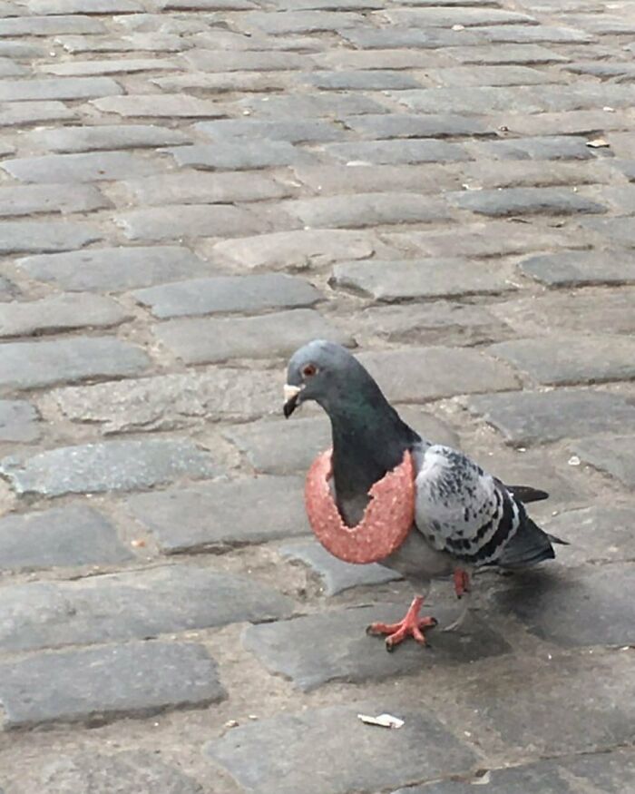 25 Weirdest Street Scenes in Brussels That Will Make You Say 'Wait, What?!'