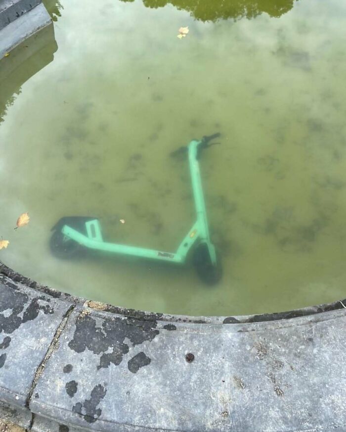 25 Weirdest Street Scenes in Brussels That Will Make You Say 'Wait, What?!'