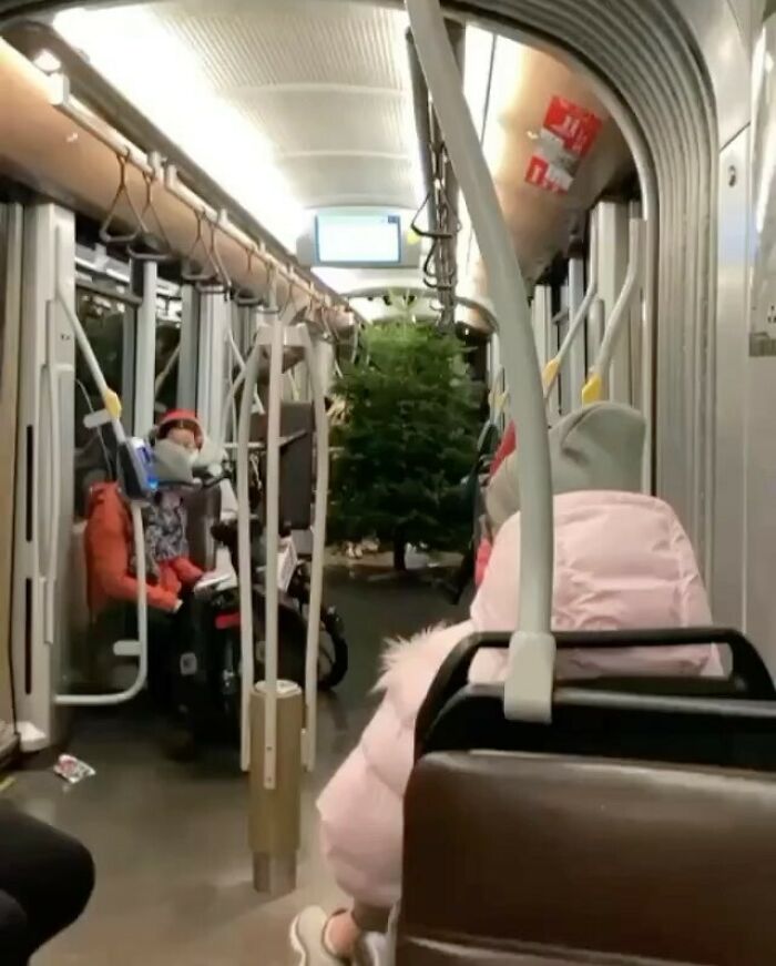 25 Weirdest Street Scenes in Brussels That Will Make You Say 'Wait, What?!'