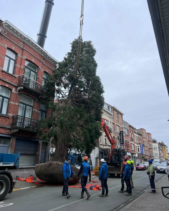 25 Weirdest Street Scenes in Brussels That Will Make You Say 'Wait, What?!'