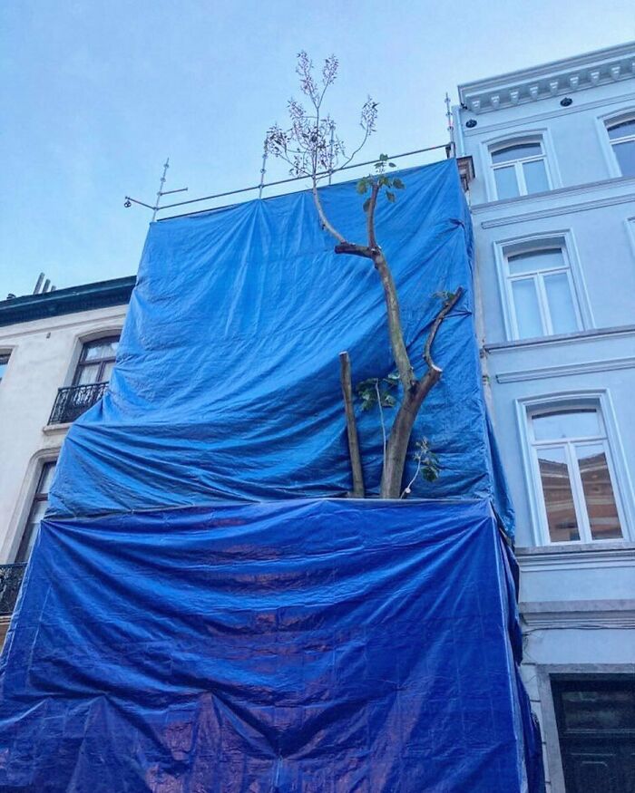 25 Weirdest Street Scenes in Brussels That Will Make You Say 'Wait, What?!'