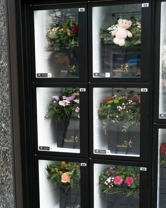 25 Weirdest Street Scenes in Brussels That Will Make You Say 'Wait, What?!'