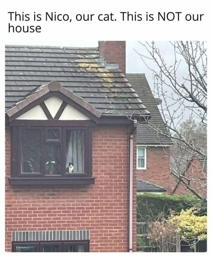 We Found the Weirdest Memes That’ll Totally Crack You Up