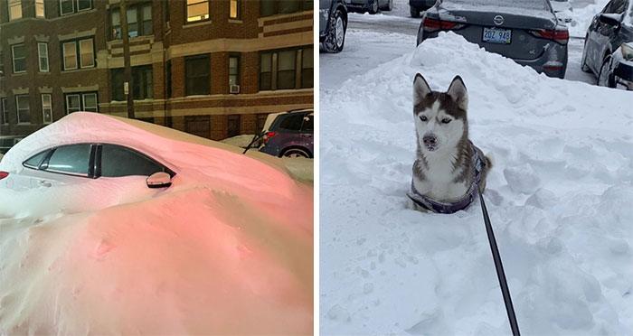 Wait, People Actually Took Pics Of This Snow Madness?!