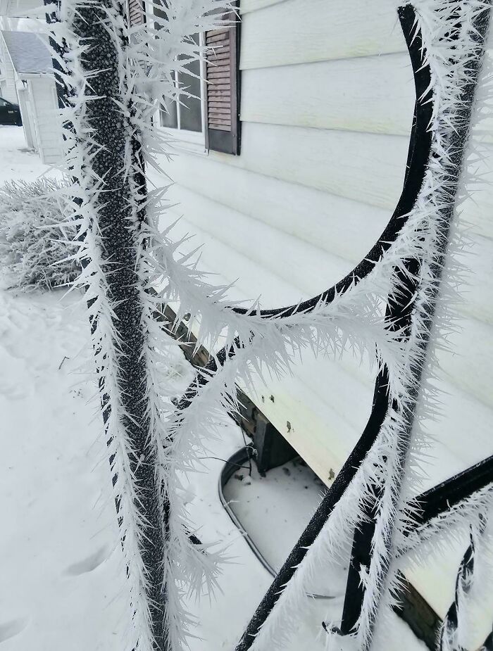 Nature’s Frosty Artwork On My Porch