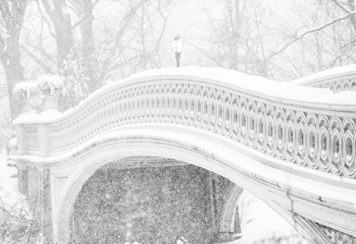 Snowy Central Park Is Out Here Looking Like A Snow Globe