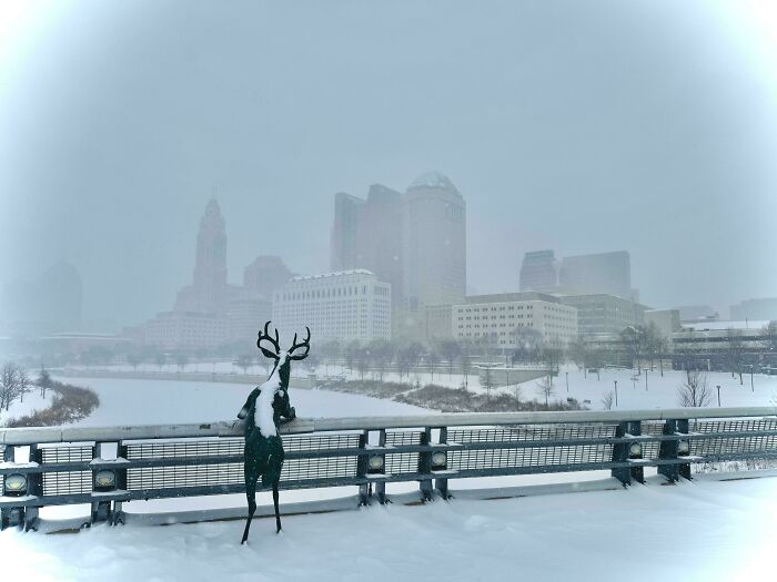 Downtown’s Having A Snow Day - Streets Empty, Vibes Intact