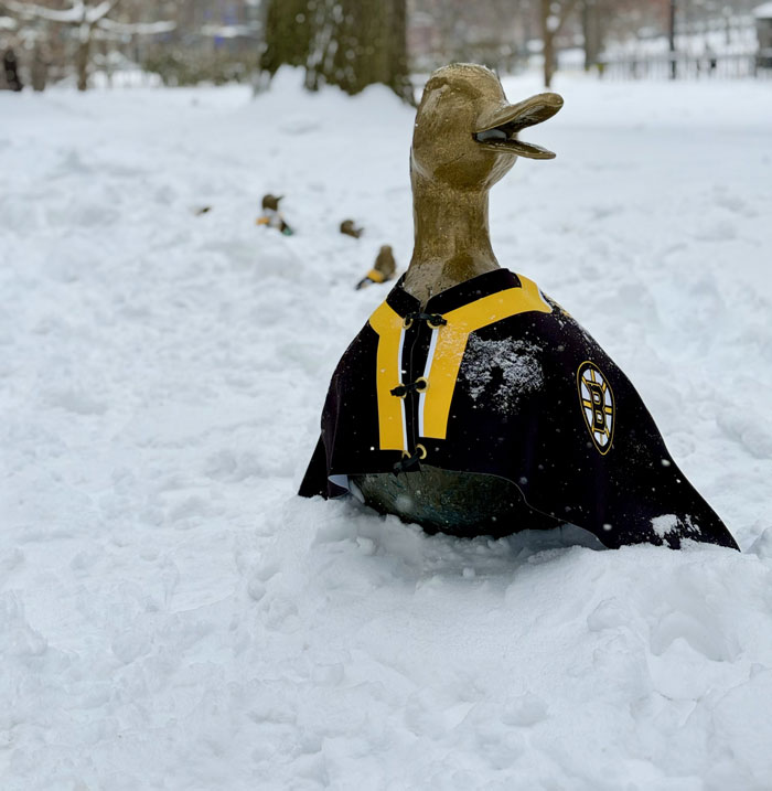 Boston Wearing Its Snow Blanket Proudly