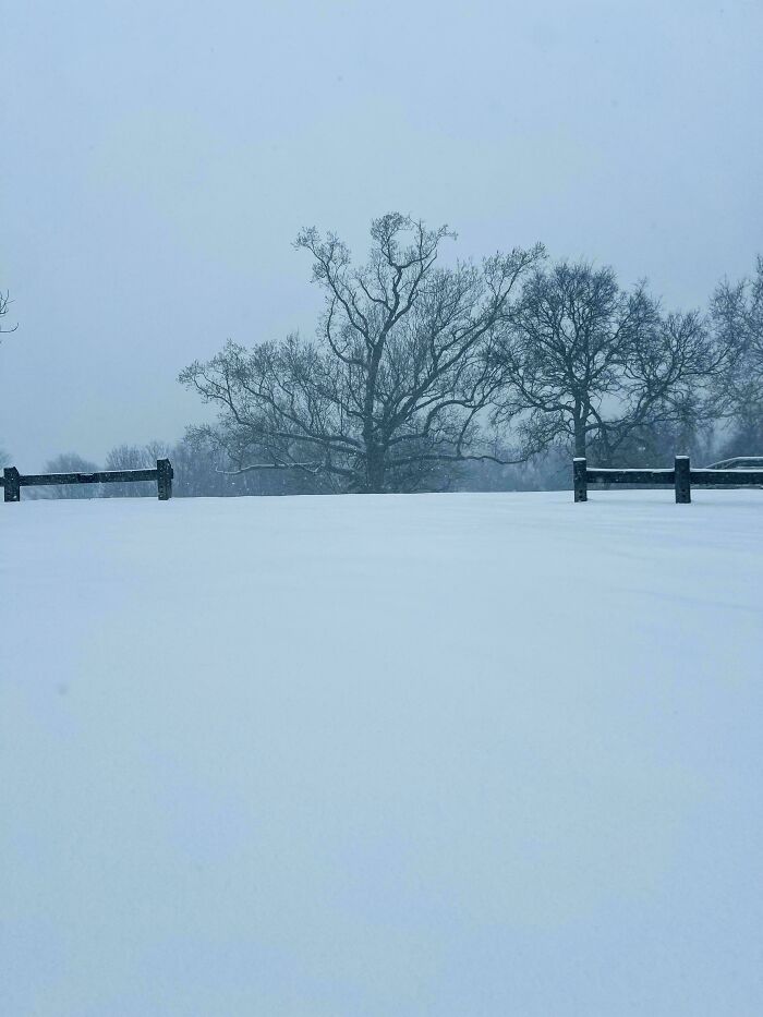 Peaceful Snow Scene In Fairmount Park