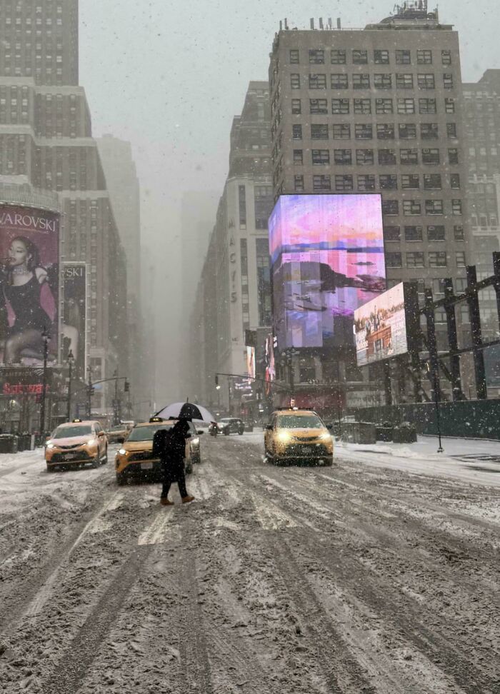 Snow Storm 2026: The Saga Continues