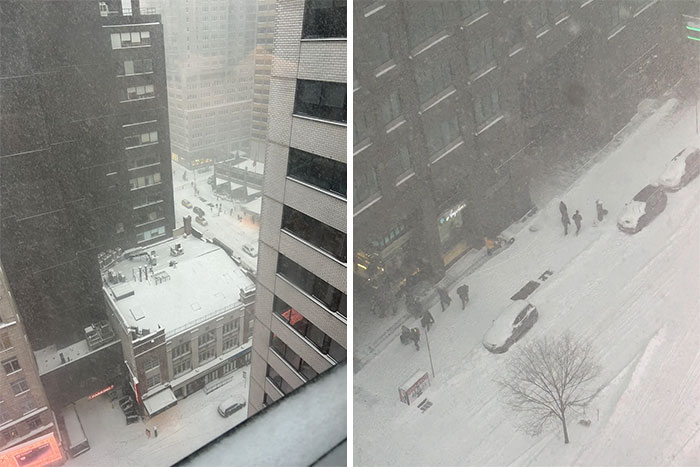 View From The 20th Floor: Snowgalore!