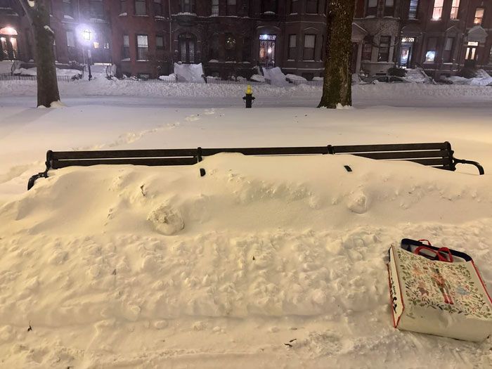 Sledding, Reliable Transport & Best Sunday Ever!