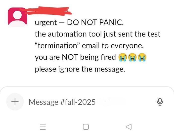 HR Dropped The Ball And Sent A Termination Email To Everyone—Even The CEO