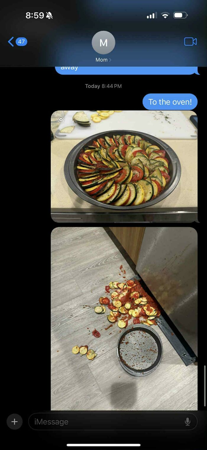Tried To Make Ratatouille With My Garden Veggies. Well... Look At This