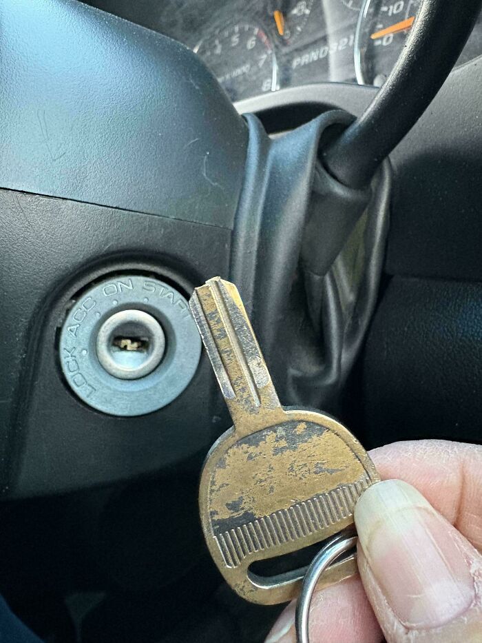 Kid And Groceries In The Back Seat – This Is Totally Fine