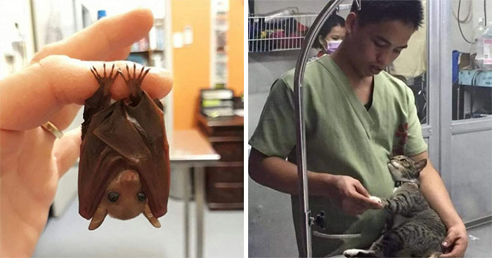 40 Photos That Show Humans And Animals Are Basically Best Buddies Forever