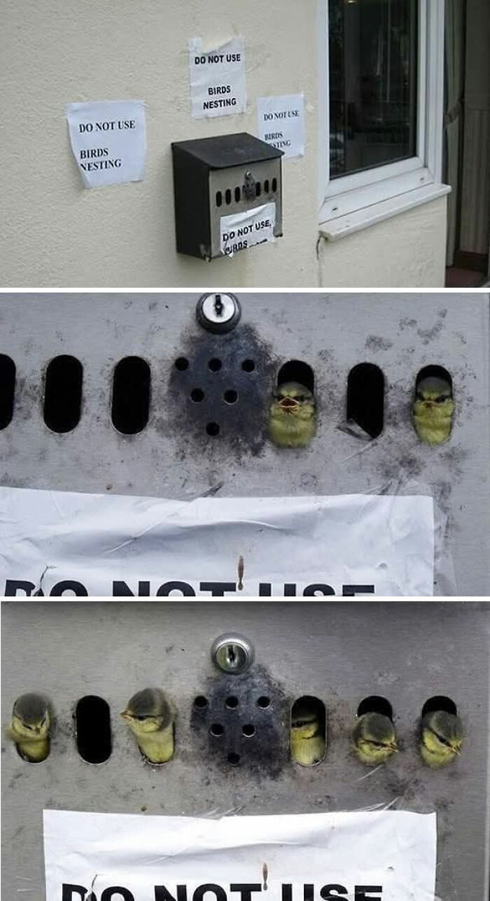 40 Photos That Show Humans And Animals Are Basically Best Buddies Forever