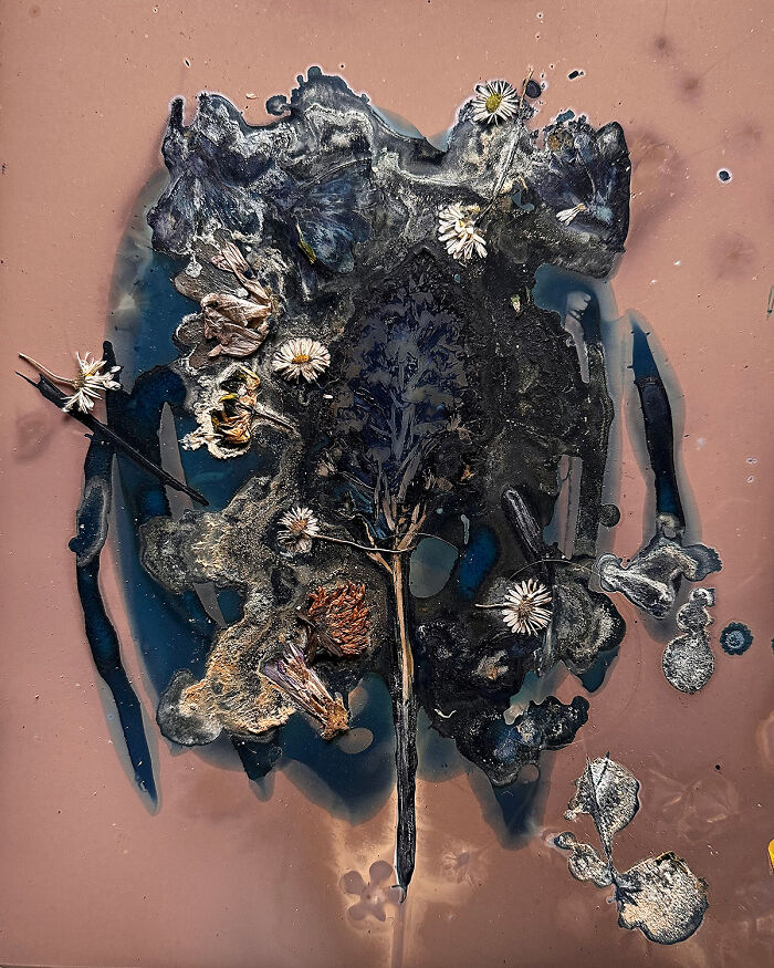 The Most Beautiful Anthropocene #55 - By Aindreas Scholz