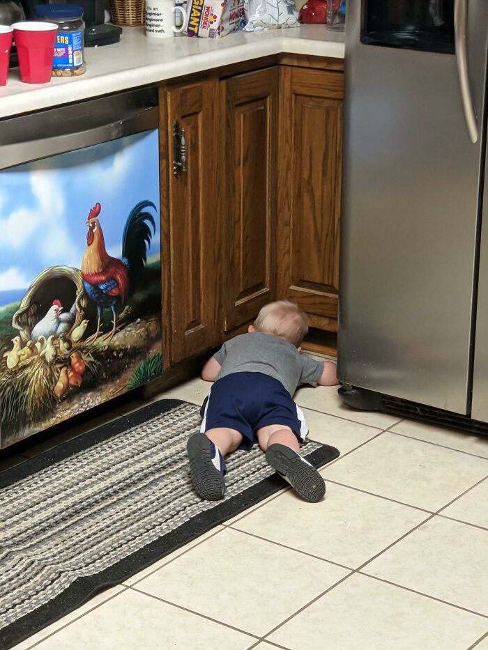 If You Look Real Close, You Can Spot My Son Hiding!