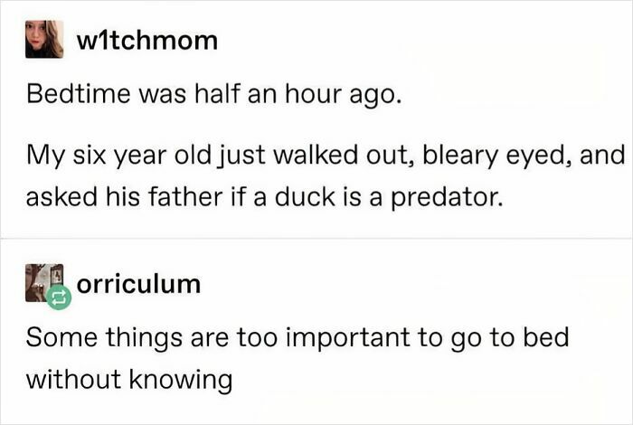 This Must Be Known... Kid Edition