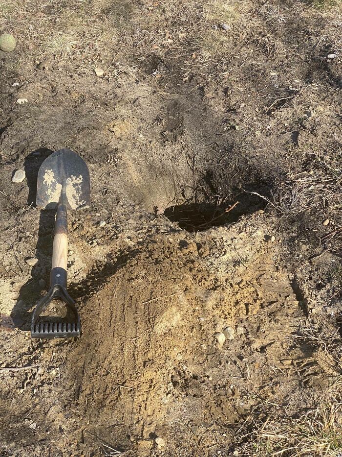 My Son is Upset Because I Don’t Believe The Dog Dug This Hole