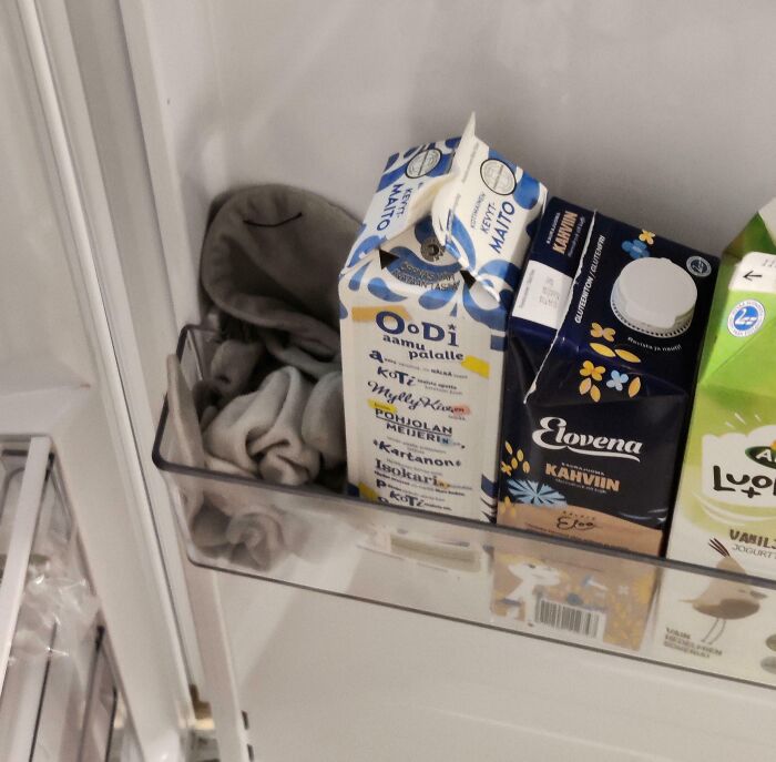 My Kid Loves To Hide His Plush Toy... Then Totally Forgets Where