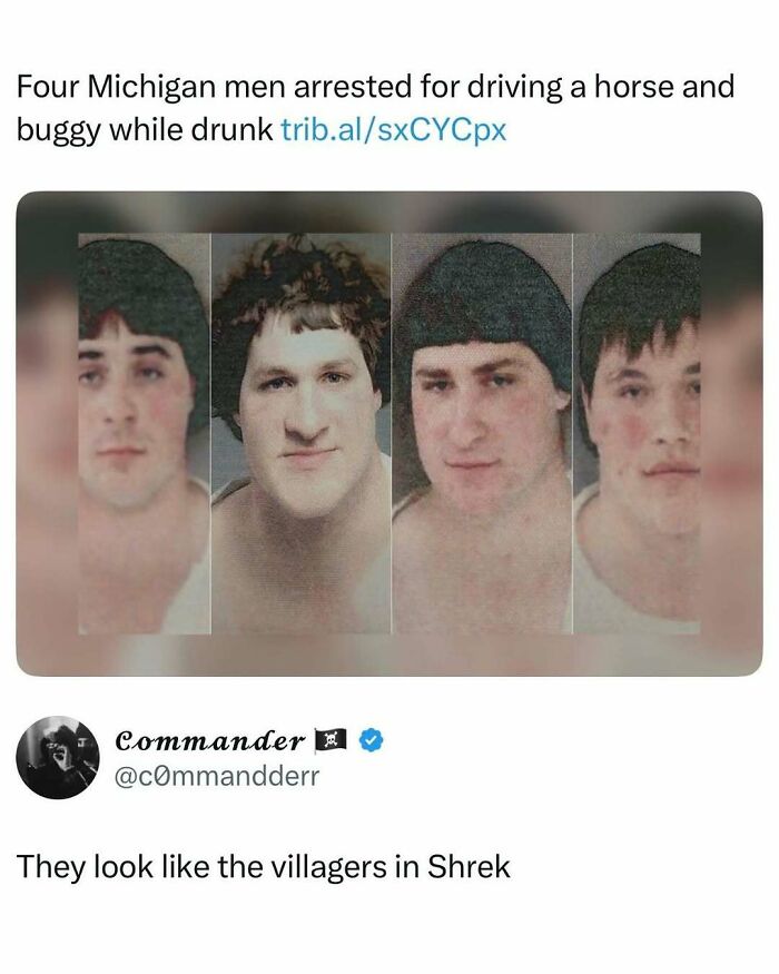 Wait, They Actually Ranked That?! Internet Posts That Make Scrolling WAY More Fun