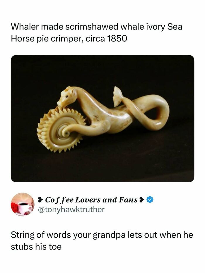 Wait, They Actually Ranked That?! Internet Posts That Make Scrolling WAY More Fun