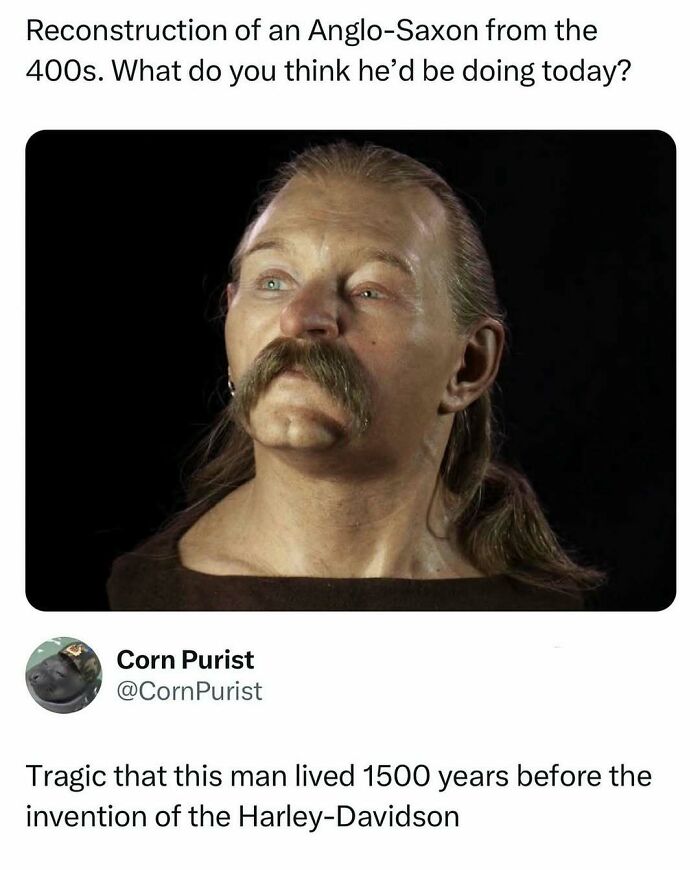 Wait, They Actually Ranked That?! Internet Posts That Make Scrolling WAY More Fun