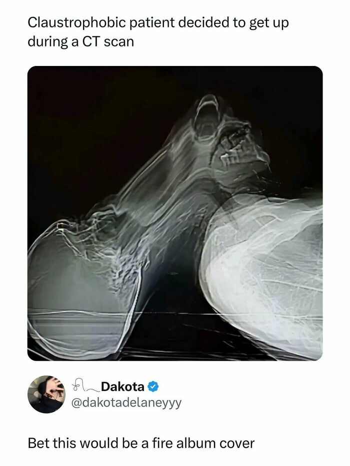 Wait, They Actually Ranked That?! Internet Posts That Make Scrolling WAY More Fun