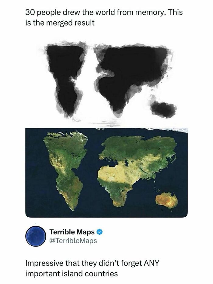 Wait, They Actually Ranked That?! Internet Posts That Make Scrolling WAY More Fun