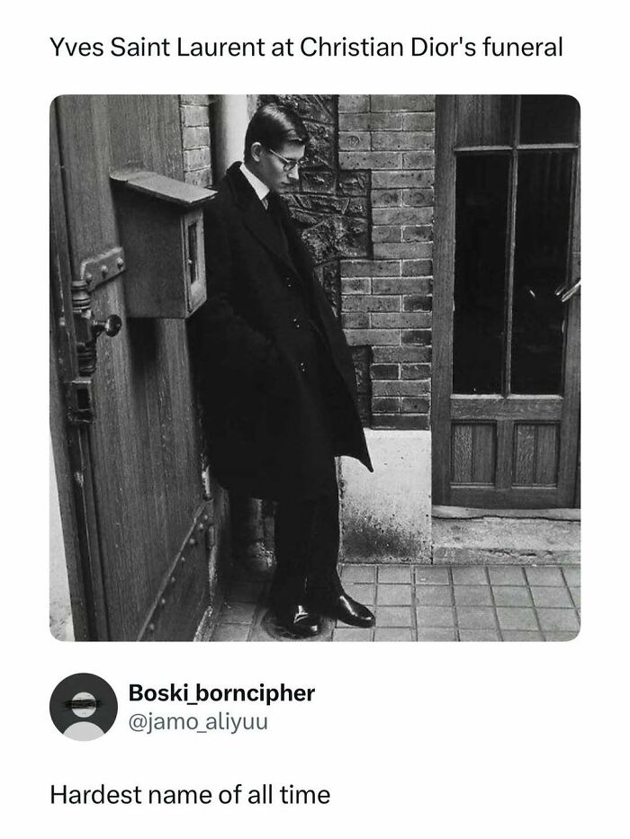 Wait, They Actually Ranked That?! Internet Posts That Make Scrolling WAY More Fun