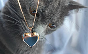 Cats Crashing Vinted Listings Like Total Pros