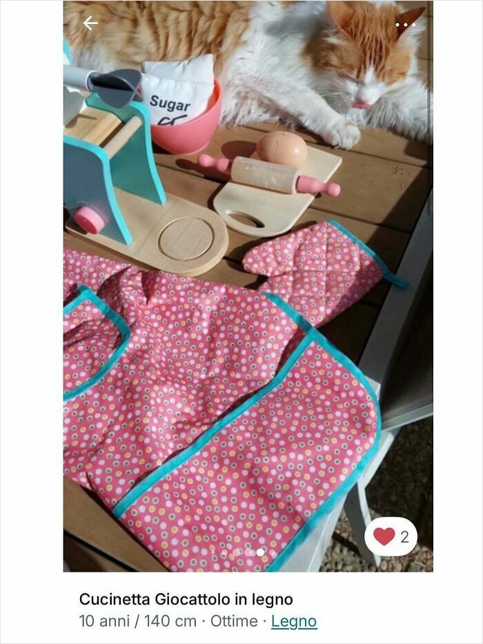 Cats Crashing Vinted Listings Like Total Pros